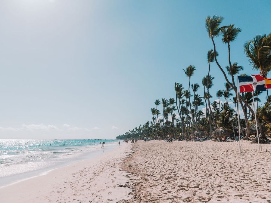 A wide white-sand beach lined with palm trees in Punta Cana