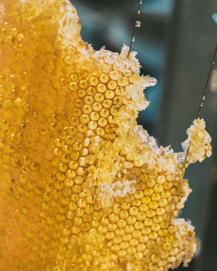 Panal de abeja dorado con la miel escurriendo por las celdas