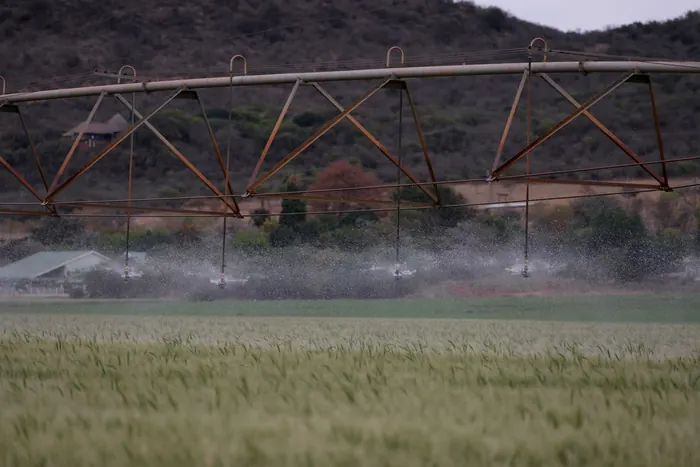 Sistema de aspersores regando un campo agrícola extenso